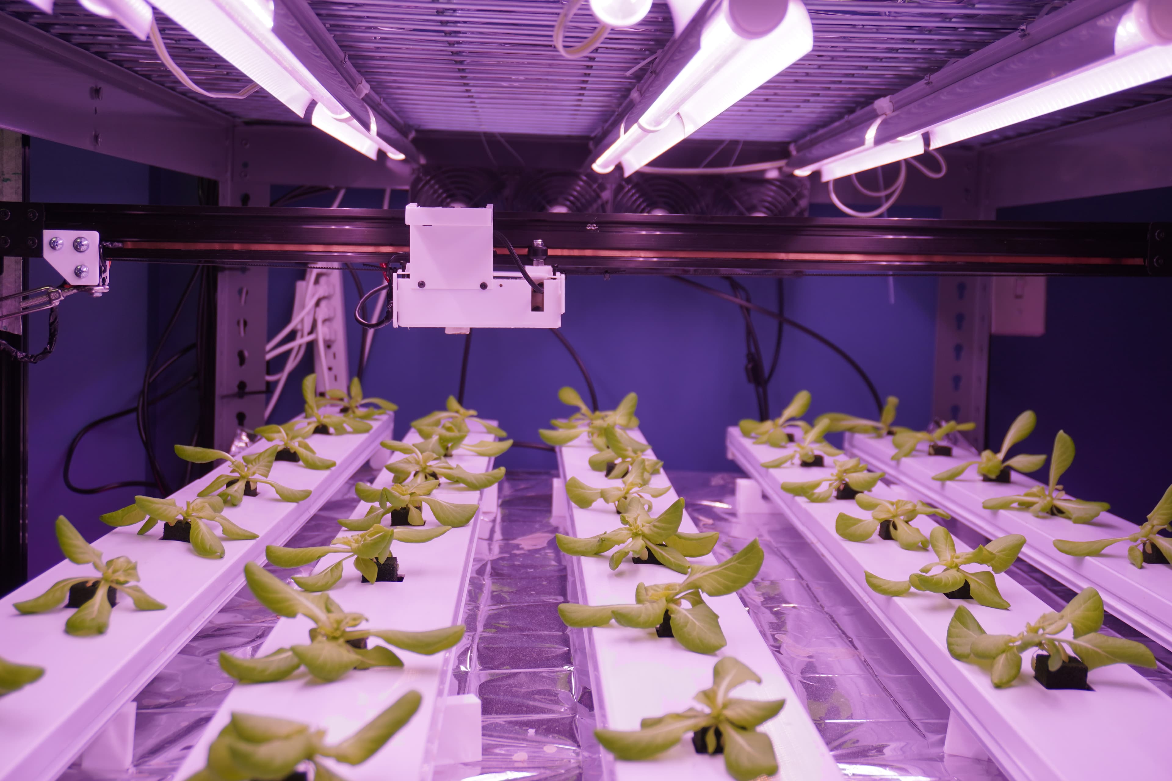 The MMS system in a vertical farm